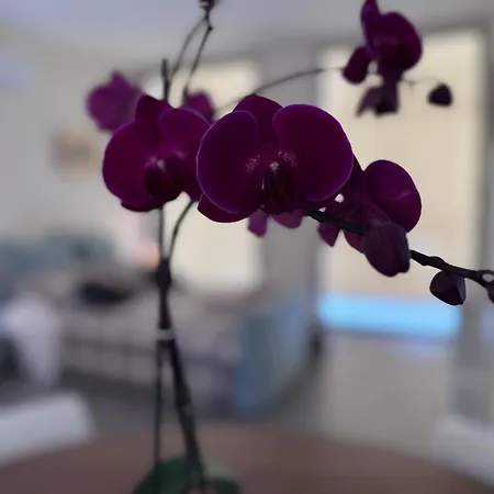 Apartmán La Mia Terrazza Sul Mare - Mared'amare *