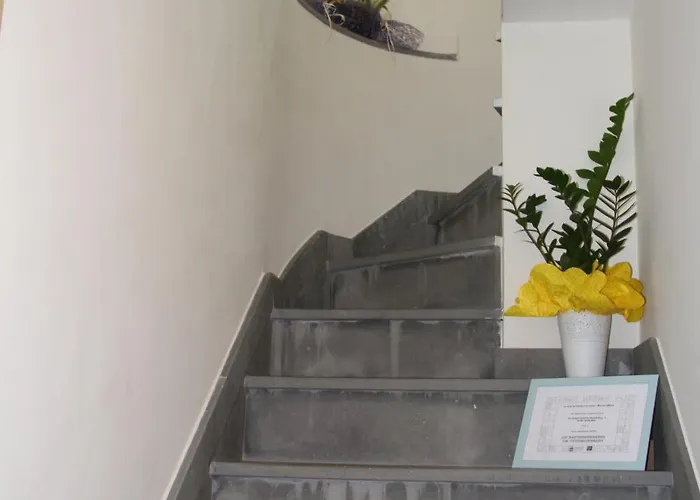 La Mia Terrazza Sul Mare - Mared'amare Appartement *