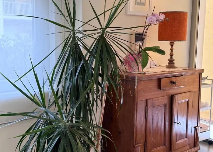 Appartement La Mia Terrazza Sul Mare - Mared'amare